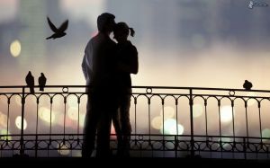 silhouette-of-couple,-gentle-embrace,-kiss,-pigeons,-fence-158844